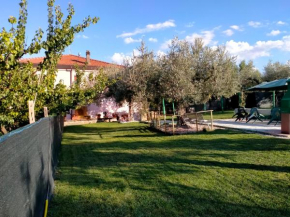 Cottage in the olive farm